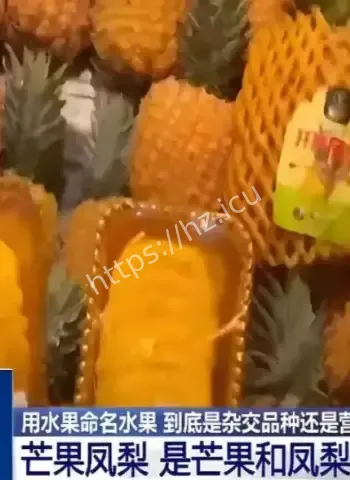 网红水果换个名捞金