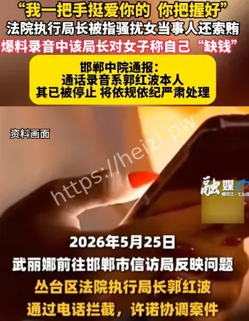 局长骚扰女当事人